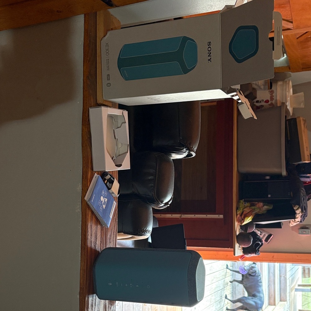 Sony Teal Portable Speaker